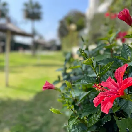 Puerto Banus Charming 1 Bedroom *