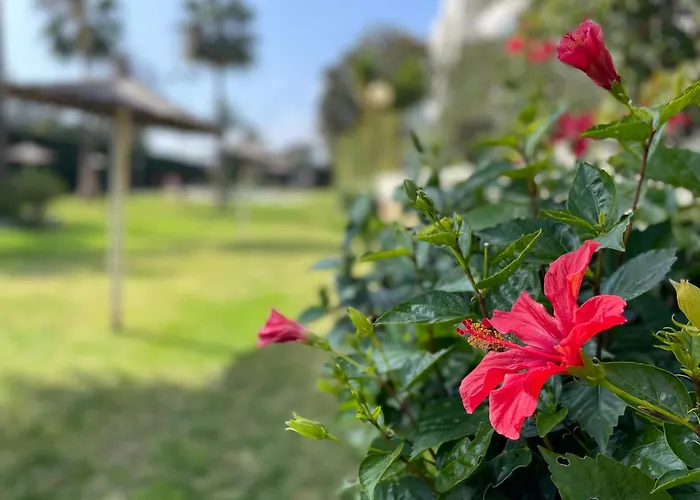 Puerto Banus Charming 1 Bedroom *